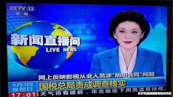 明星网红纪委,揭秘娱乐圈背后的廉洁风云