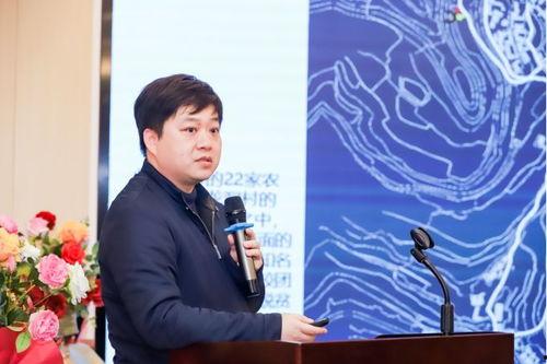 宋明星网红,网红界的璀璨新星，闪耀娱乐圈