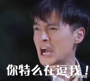 宋明星网红,网红界的璀璨新星，闪耀娱乐圈
