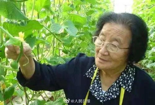 最新吃瓜爆料视频开火车,最新爆料视频背后的惊人真相