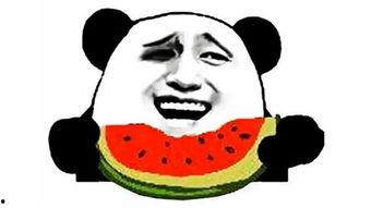 吃瓜爆料现场图片搞笑,这瓜太甜了！