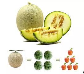 一手吃瓜爆料,一手吃瓜爆料，带你直击娱乐圈幕后真相