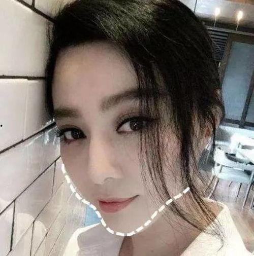 明星网红的,揭秘明星网红的崛起之路