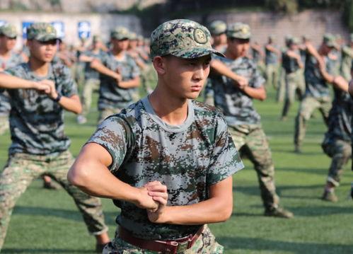 吃瓜最新事件爆料军训,揭秘校园吃瓜事件背后的真相