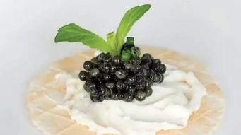 马雨萱吃瓜黑料,揭秘娱乐圈的“黑料”风云