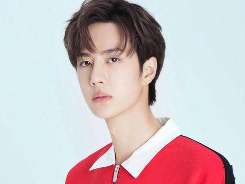 整治明星网红,明星网红整治行动全面启动