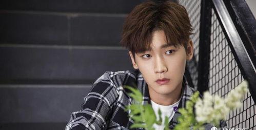 吃瓜爆料李现鹿晗,娱乐圈风云再起