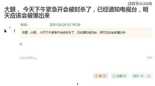 明星用大号吃瓜爆料文件,吃瓜爆料文件背后的娱乐圈真相