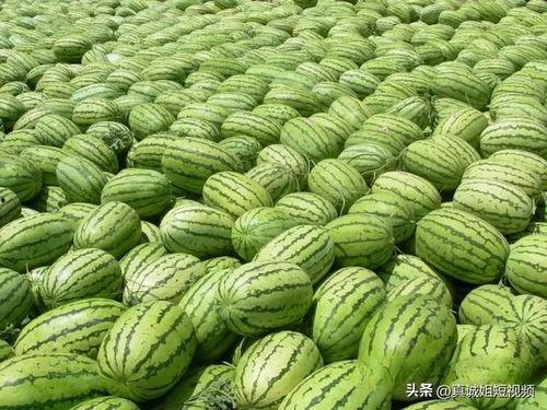 绯绯吃瓜爆料在哪里,揭秘娱乐圈幕后真相