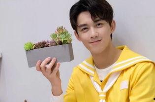 明星网红大考,挑战高考极限