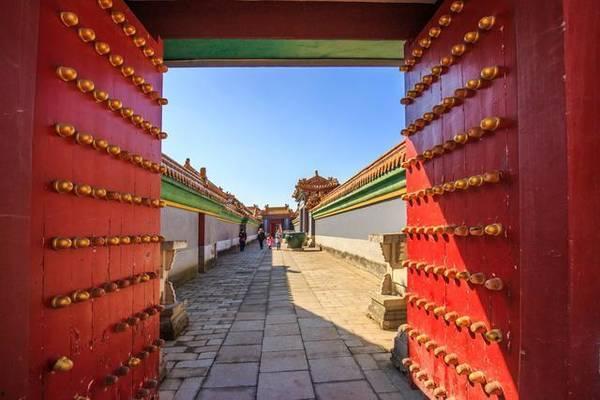 景区明星网红,打卡新宠，网红打卡地探秘