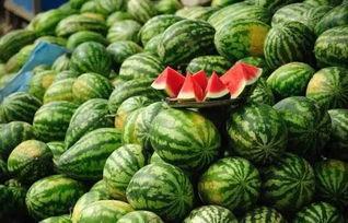 微信群吃黑瓜黑料,黑瓜黑料背后的真相与反思