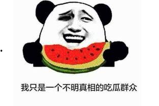 吃瓜爆料是什么意思,网络时代的八卦风向标