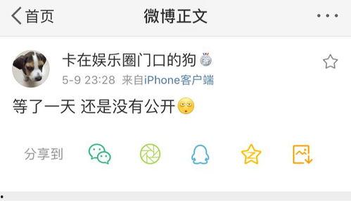 吃瓜爆料是什么意思,网络时代的八卦风向标