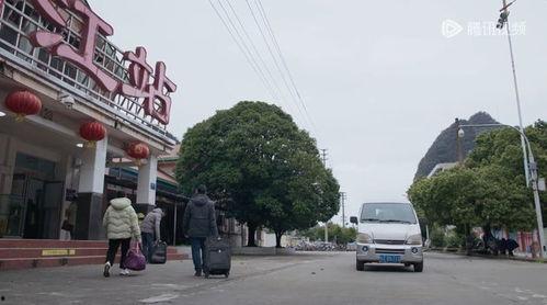 柳州明星网红,明星级网红的璀璨魅力