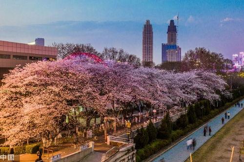 抖音吃瓜爆料官方入口,独家爆料，一网打尽热门事件！”