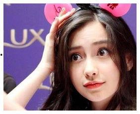 假冒明星网红,揭秘假冒明星网红背后的真相与内幕