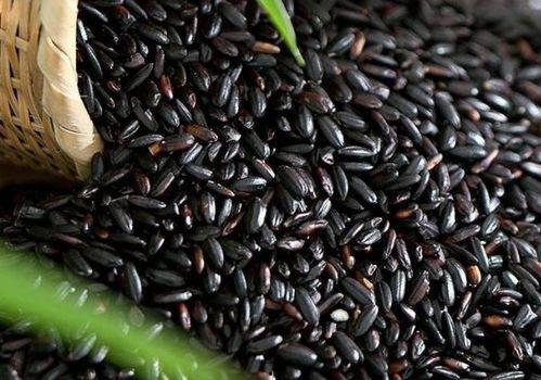 坎贝奇吃瓜黑料,揭秘娱乐圈背后的真相