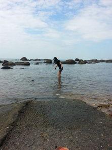 海角吃瓜黑料不打洋,黑料风波背后的真相与反思