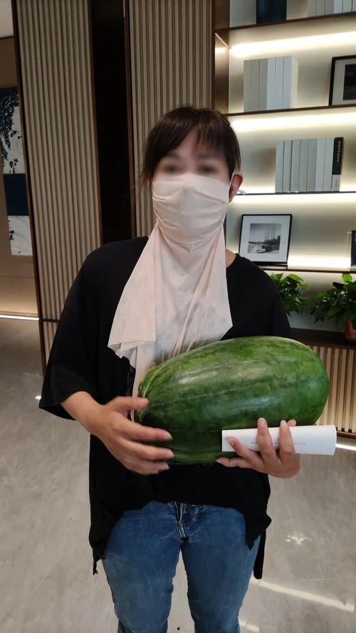 911黑料吃瓜爆料今日大瓜,今日大瓜震惊娱乐圈