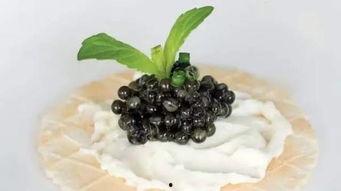 黄玉瑶吃瓜黑料,揭秘娱乐圈背后的真相