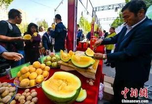 吃瓜最新事件爆料郓城,揭秘吃瓜群众最新热议事件