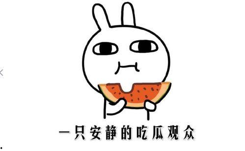 抖音黑料吃瓜网站,吃瓜网站带你探秘网红幕后真相