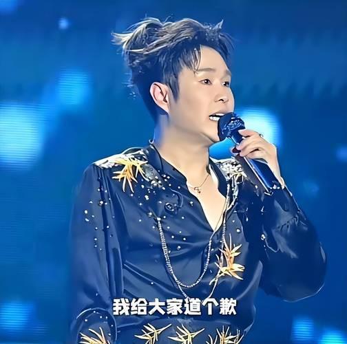 演唱明星网红,网红明星的歌唱之旅