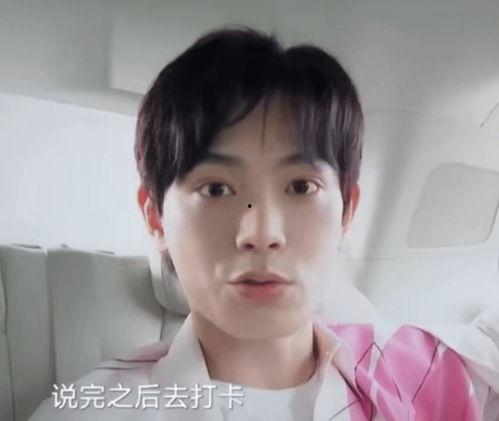 明星网红助,打造爆款内容新潮流