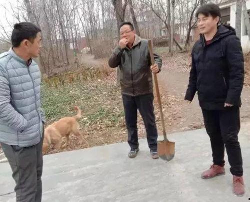 辛店镇吃瓜最新事件爆料,揭秘背后惊人真相