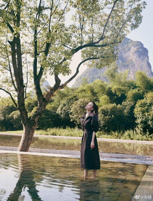 明星网红桂林,明星网红的桂林之旅