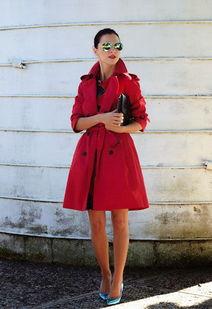 装明星网红,揭秘明星网红背后的故事