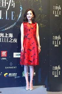 装明星网红,揭秘明星网红背后的故事