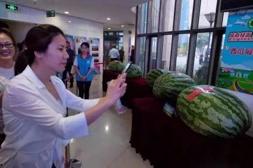 定州吃瓜事件最新爆料新闻,最新爆料揭示惊人内幕