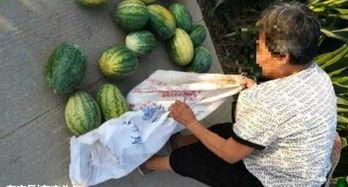 临沂吃瓜最新事件爆料,揭秘背后真相与争议焦点