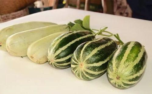 网红吃瓜爆料入口在哪