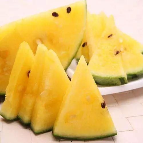 精品黑料吃瓜入口,精品黑料大揭秘，吃瓜群众入口即爽