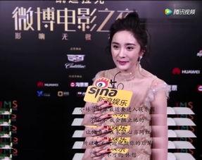 明星网红哲学,明星世界中的智慧火花