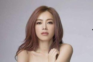 接明星网红,明星网红的璀璨时刻