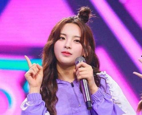 接明星网红,明星网红的璀璨时刻