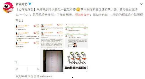 明星吃瓜爆料文件真实吗,真实与否，真相即将揭晓