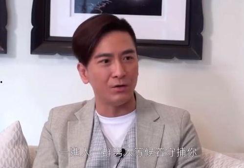 明星吃瓜爆料文件真实吗,真实与否，真相即将揭晓