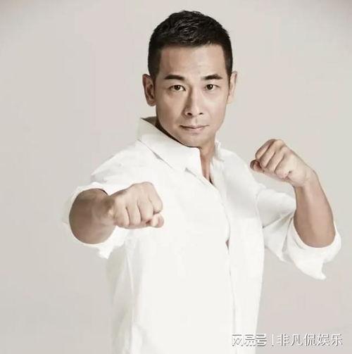 武打明星网红,武打明星网红的传奇人生