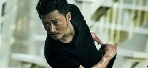 武打明星网红,武打明星网红的传奇人生