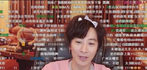 明星网红侵权,揭秘网络红人法律风险与责任承担