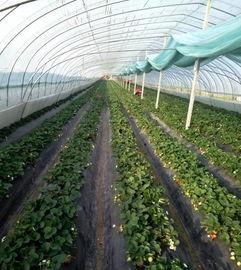 吃瓜群爆料大棚图片真实,吃瓜群爆料揭示农业新面貌