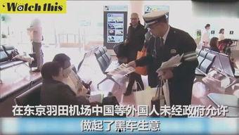 猎奇实拍吃瓜爆料视频,吃瓜爆料视频背后的惊人真相