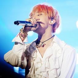 明星网红新宠,揭秘潮流风向标背后的秘密