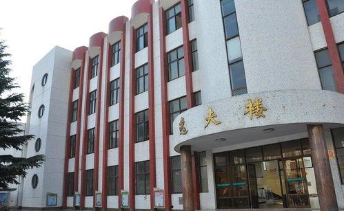 明星网红大楼,璀璨星光下的时尚地标