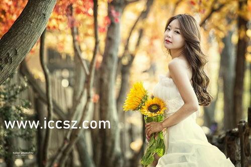 吃瓜黑料社破解牌,破解牌背后的秘密与真相